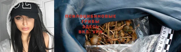 шишки Абинск