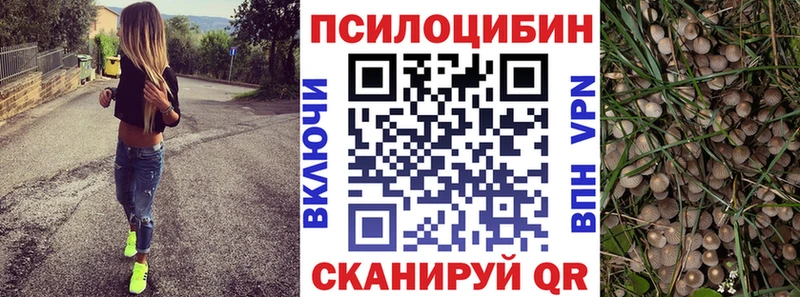 Галлюциногенные грибы Psilocybe  Купить  Агидель 